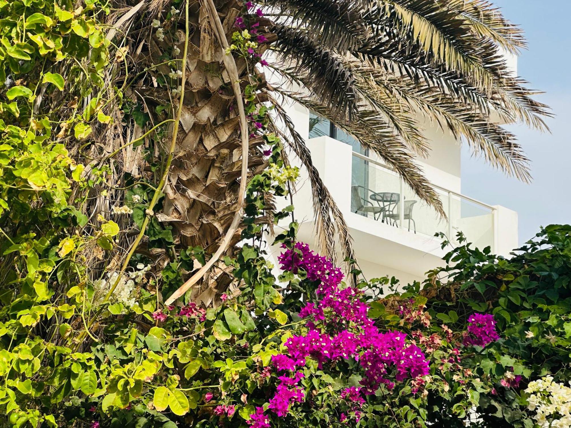 Atlantic Sal Design Apartments Santa Maria Exteriér fotografie